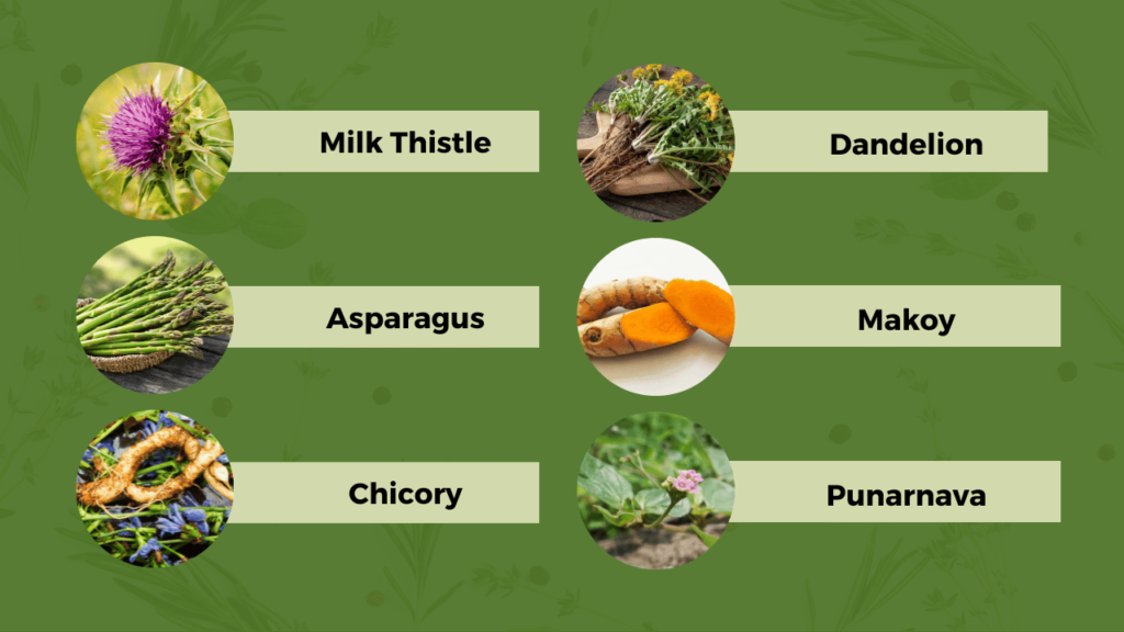 Ltoxiv's 10 Vital Herbs